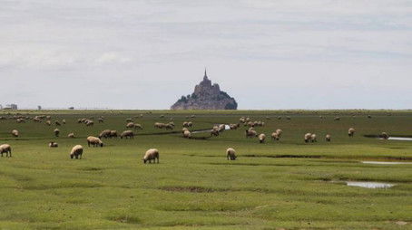 Episode 22 (2022) - Episode 22 poster and promotional image