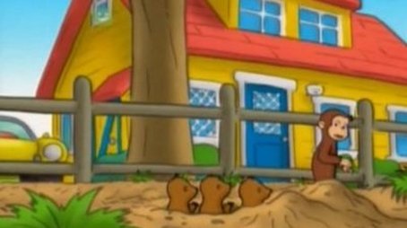 Monkey Underground