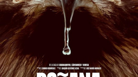 Doñana (2025) poster