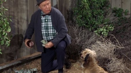 The Windfall (1966) - Episode 26 poster and promotional image