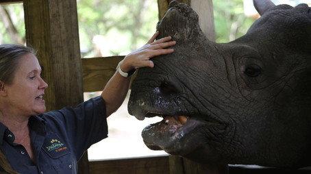 Secrets of the Zoo: Tampa Stagione 1