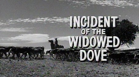 Incident of the Widowed Dove (1959) - Episode 4 poster and promotional image