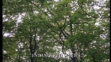 Pie in the Sky Stagione 1