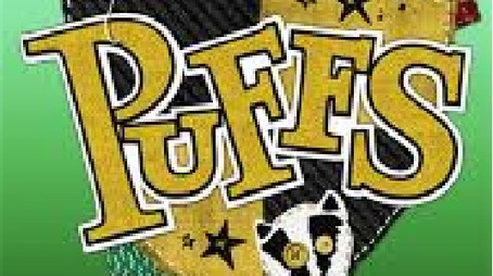 Puffs: Filmed Live Off CHSHS (2025) poster