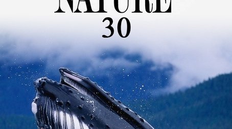 Season 30 (2011) - Season 30 poster and promotional image