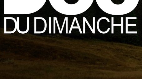 Le Doc du dimanche (2008) poster