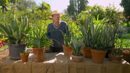 Episode 12 Wendy Whiteley, Chook Coop Tips & Microfarms (2021) - Episode 12 poster and promotional image