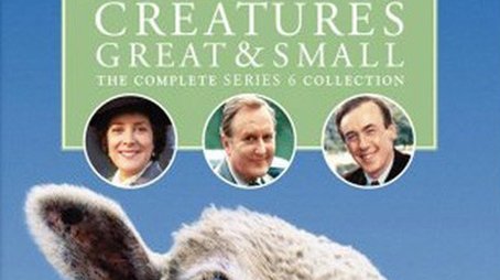 Season 6 (1989) - Season 6 poster and promotional image