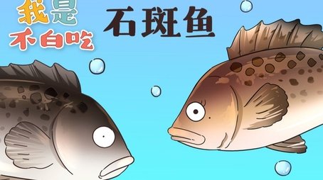 Episode 51 (None) - Episode 51 poster and promotional image