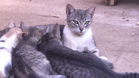 Johnny Ma (2020) - Episode 13 poster and promotional image