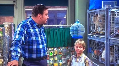 The Pet Shop (1969) - Episode 21 poster and promotional image