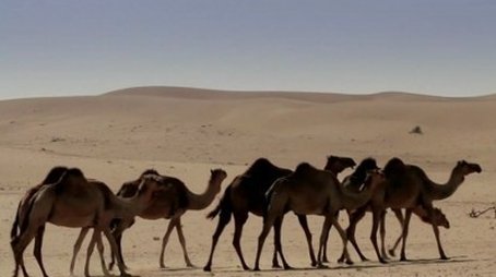 Dubai (2010) - Episode 19 poster and promotional image
