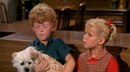 Best of Breed (1967) - Episode 15 poster and promotional image