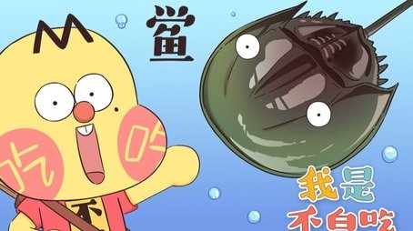 Episode 196 (None) - Episode 196 poster and promotional image