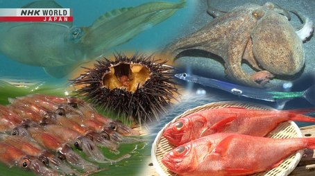 You Eat That?! - Cool Seafood (2022) - Episode 14 poster and promotional image