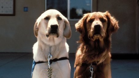 Extraordinary Dogs (1997) - Episode 9 poster and promotional image