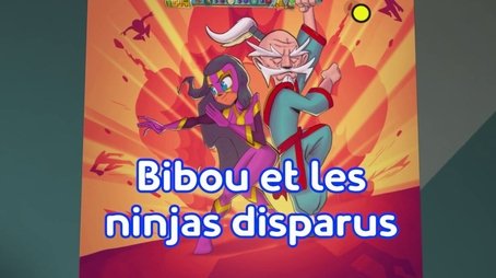 The Disappearing Ninjas