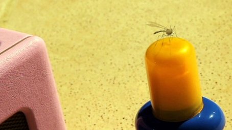 Sunburn (2012) - Episode 77 poster and promotional image