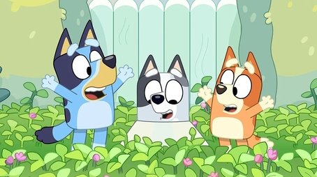Bluey243