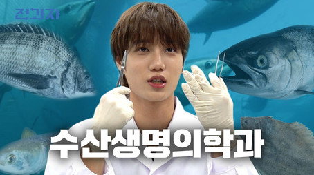 전과자 Évad 6