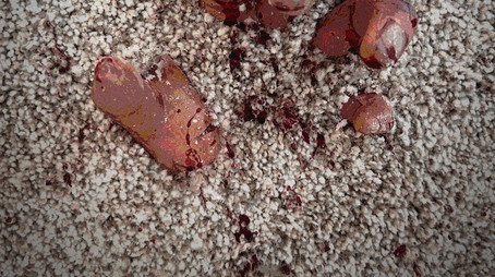 Carpet (2025) poster