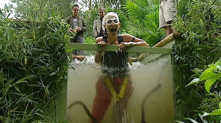 I'm a Celebrity...Get Me Out of Here! Сезон 4