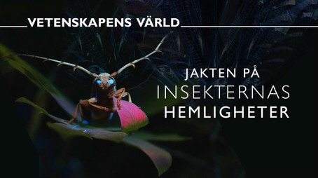 Vetenskapens värld Сезон 52