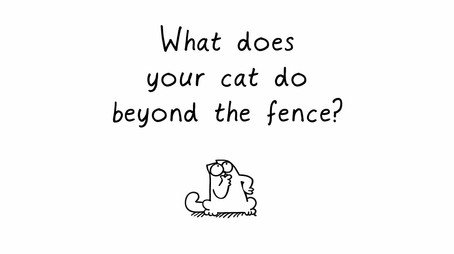 Simon's Cat Сезон 3