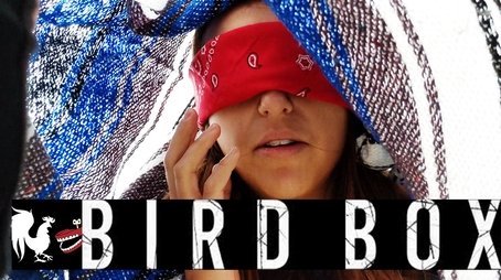 Bird Box Challenge (2019) - Episode 1 poster and promotional image