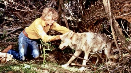 The Flight of the Grey Wolf (1) (1976) - Episode 16 poster and promotional image