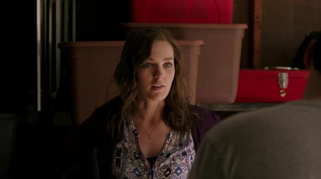 Gracepoint Stagione 1