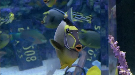 Tanked Sezona 1