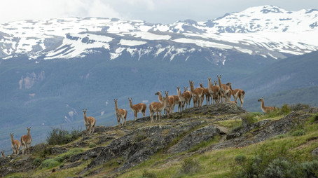 Evolution Earth Sezóna 1