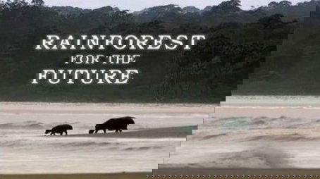 Gabon - Forests of the Future (2007) - Episode 10 poster and promotional image