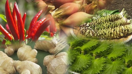 HERBS AND SPICES (2021) - Episode 5 poster and promotional image