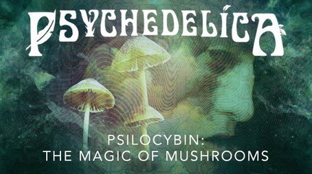 Psychedelica Сезон 1