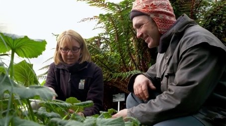Episode 32 Vegie Patch Protection, Wildlife Friendly & Fruit Pots (2021) - Episode 32 poster and promotional image