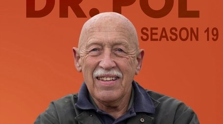Season 19 (2021) - Season 19 poster and promotional image