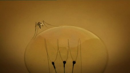 The Mosquito (2007) - Episode 63 poster and promotional image