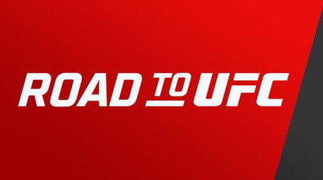 Road to UFC Σεζόν 2