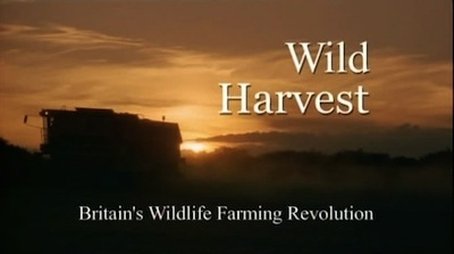 Wild Harvest (2005) - Episode 9 poster and promotional image