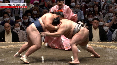 GRAND SUMO Highlights Сезон 13