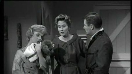 Ed the Stoolpigeon (1961) - Episode 15 poster and promotional image