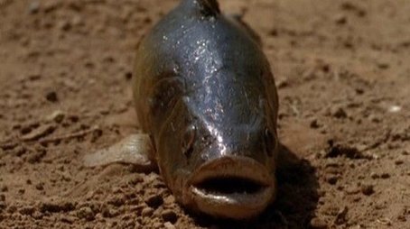 Lungfish (1998) - Episode 7 poster and promotional image