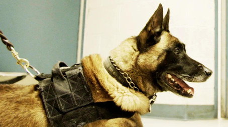 Mega Millions Meth Stash (2021) - Episode 14 poster and promotional image