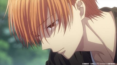 Fruits Basket39