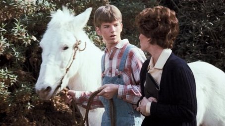 The Hero (1977) - Episode 18 poster and promotional image