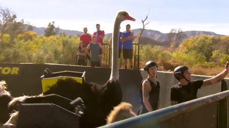 Fear Factor Sezona 2