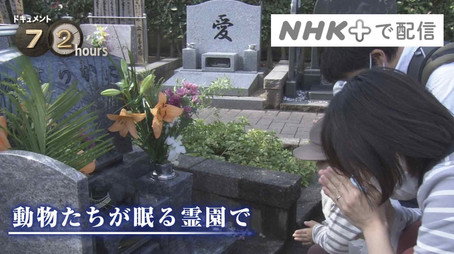 ドキュメント72時間 Évad 11