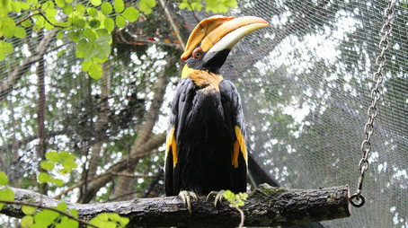 Secrets of the Zoo: Tampa Stagione 4